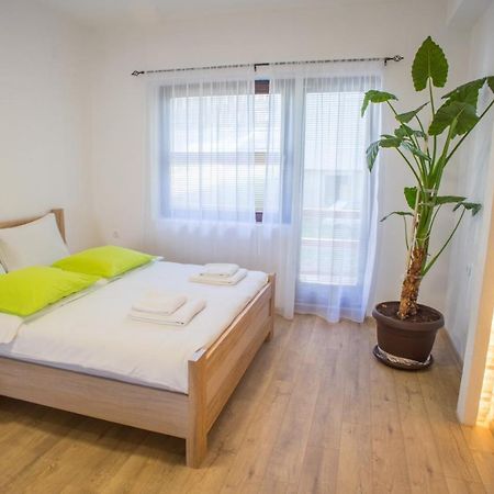 Apartmani Albion Žabljak Εξωτερικό φωτογραφία